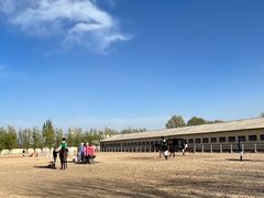 -北京群众马术培训基地