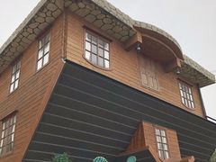 -金山农民画村-枫泾波兰倒置屋