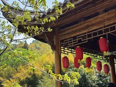 -藏龙百瀑风景区