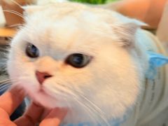 -J Create城市露营咖啡·简餐·宠物(上海动物园店)