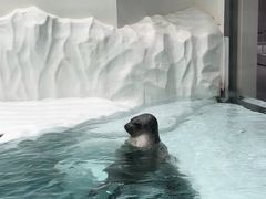 -大阪海游馆