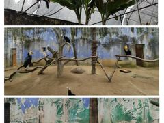 -杭州野生动物世界