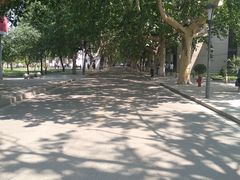 -曲阜师范大学(曲阜校区)