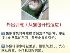 -守诺宠物医院·眼科· 神经外科·爬宠专科(虹口店)
