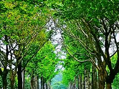 -重庆中央公园(渝北区)