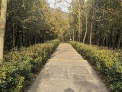 -云龙湖旅游景区