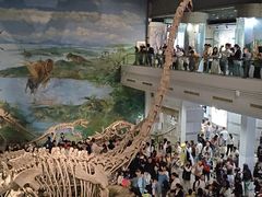 -自贡恐龙博物馆