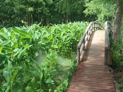 -东湖落雁景区