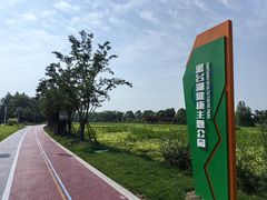 -澹台湖公园