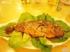 糟鱼-河南食府(人民路店)
