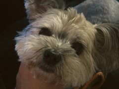 -Vinup薇葡·葡萄酒自助Bar(江宁路店)