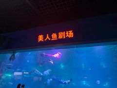 -福州罗源湾海洋世界旅游区