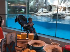 -帝企鹅自助餐厅•儿童岛•真企鹅(长隆企鹅酒店)