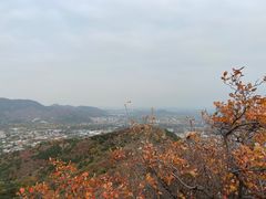 -香山公园
