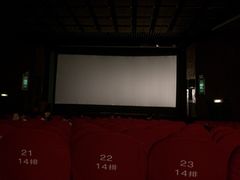 和平电影院-和平电影院