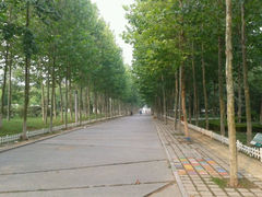 android_upload_pic-八大关景区