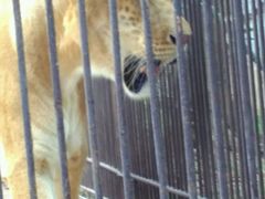 -广东茂名森林公园