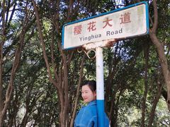 -武汉大学-樱园