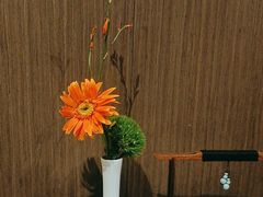 -花锦堂·隐庐