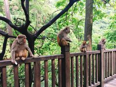 -黔灵山公园-南门售票处