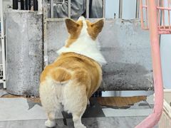 -汪说·狗咖(旺城大厦店)