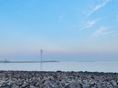 -上海吴淞炮台湾国家湿地公园