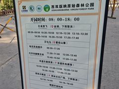 -西双版纳原始森林公园