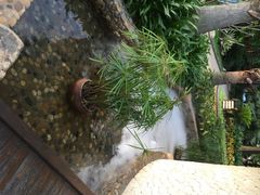 日月谷温泉渡假村-厦门日月谷温泉渡假村