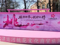 -桃花堤公园