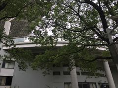 -复旦大学邯郸校区南区游泳馆