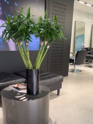 -付军剪艺JF ProSalon