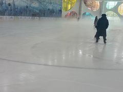 -世界之窗阿尔卑斯冰雪世界