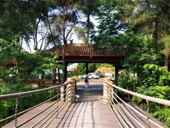 -铁山坪森林公园