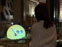 -拉斯维加斯永利酒店