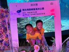 -烟台海昌鲸鲨海洋公园