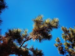 -天津盘山风景名胜区