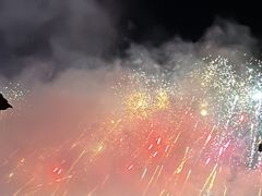 -南宁花花大世界景区