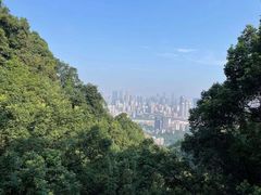 -南山植物园