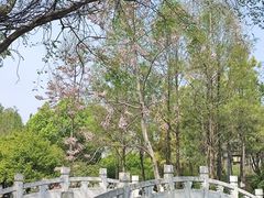 -武汉园博园(武汉自然博物馆)