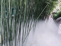 -竹泉村旅游度假区