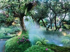 -Chom Cafe and Restaurant