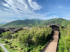 -大唐贡茶院