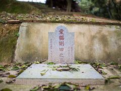 墓地-彩虹桥宠物火化殡葬善终服务(金乐大厦店)