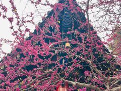-西安市广仁寺