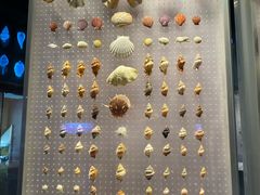 -贝林大翅鲸简餐厅(国家海洋博物馆店)