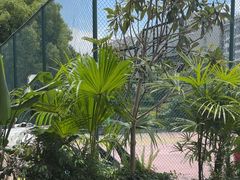 -芸鲜季·云南野生菌餐厅· 云南风物味研社(闵行店)