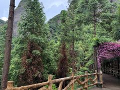 -南武当山景区