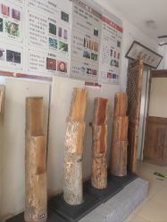 -文旺阁亲子手工DIY木作博物馆