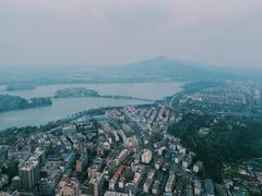 -紫峰大厦
