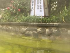 -杭州第一世界大酒店·云曼温泉